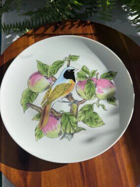 Vintage Shafford Redstart Bird Plate from "Audubon" Collection